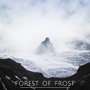 Forest of Frost - II
