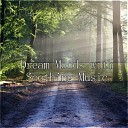 Instrumental Piano Academy - Peaceful Music Rain Sounds for Sleeping