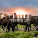 Poenitsch Jakopic feat DJ Linus - The Last Unicorn DJ Linus Remix