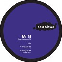 Mr G - Sunday Blues Original Mix
