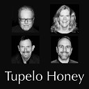 Tupelo Honey - Life in a Northern Town Acoustic Cover