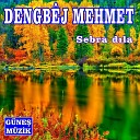 Dengbej Mehmet - Sebra D la