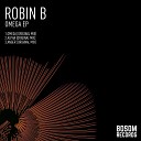 B Robin - Anger Original Mix