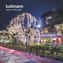 Bultmann - Fly into the Sky