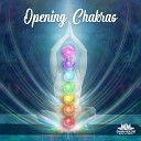 Chakra Healing Music Academy - Yoga Meditation