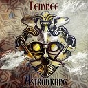 Temnee - Nowhereland