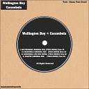 Wellington Boy - Eclipse Original Mix