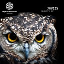 Javiis - Reality (Monococ Remix)