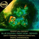 Perpetual Present - Blue Dolphin Stampatron Remix