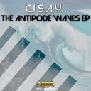 CJ S A Y - Amoung The Waves Intro Mix