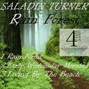 Sadin Turner - Rain Forest Original Mix