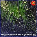 Focal Point Kommon Interests feat Ricky… - Jungle Rain Original Mix