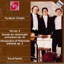 Trio di Torino - Trio In G Minor Op 8 Scherzo