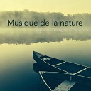 Musique Relaxante Univers - Chanson de l eau Musique zen