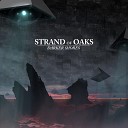 Strand of Oaks - Little Wishes