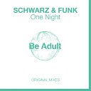 Schwarz Funk - As If It Was You