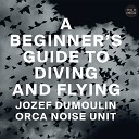 Jozef Dumoulin Orca Noise Unit - The Other Side of the Month
