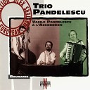 Vasile Pandelescu - Trio Pandelescu Mi Au Furat Mindrele