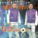 Banda Rincon De Guayabitos - La Guarapeta