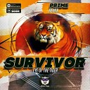 Survivor - Eye Of the tiger Prime Remix Radio Edit
