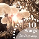 Serenity Spa Ensemble - Lullaby of Lost Souls