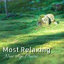 Meditation Music Masters - Levite Lullaby