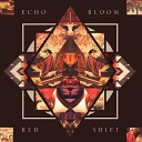 Echo Bloom - In Orbit