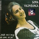 Sofia Vicoveanca - tii Mam Ce Am Pus De G nd