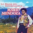 Mario Mendoza - Mi Linda Ni a