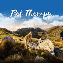 Pet Music Academy - Reducing Hyperactivity