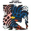 Cut Copy - Need You Now Architecture In Helsinki Version