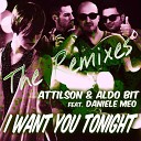 Attilson Aldo Bit feat Dani - I Want You Tonight Luigi Pil
