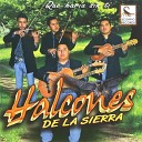 Halcones De La Sierra - Cruz De Palo