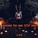 CAT - Electronic Free Man 2020 Intro