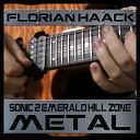 Florian Haack - Emerald Hill Zone from Sonic the Hedgehog 2 Metal…