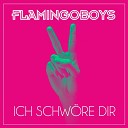 Flamingoboys - Ich schw re dir