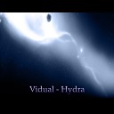 Vidual - Hydra Original Mix