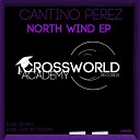 Cantino Perez - Luna De Miel Original Mix