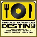 Freddy Gonzalez - Destiny Original Mix