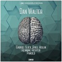 Dan Walter - The Brain Gabriel Slick Briel Hollm Remix