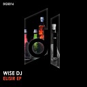 DJ Wise - Feel The Vibe Original Mix