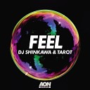 DJ Shinkawa Tarot - Feel Original Mix