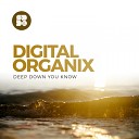 Digital Organix - The End Original Mix