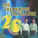 Los Tremendos Gavilanes - Corrido de Linares