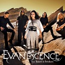 Evanescence - My Heart Is Broken Radio Edit