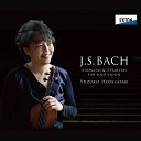 Yuzuko Horigome - Partita No 1 in B Minor BWV 1002 1 Allemanda
