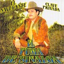 El Puma De Sinaloa - Ni Me Viene Ni Me Va