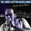 James Cotton - South Side Boogie