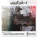 Wostok 1 - Неизбежный союз Original Mix
