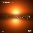 Domestic Technology Syntheticsax - Day and Night Night Mix